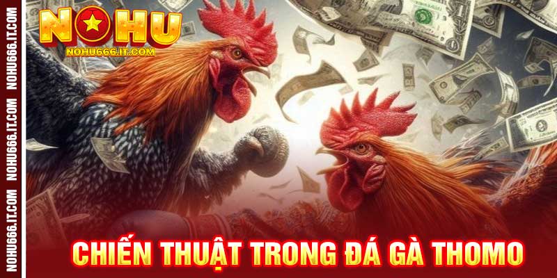 đá gà thomo