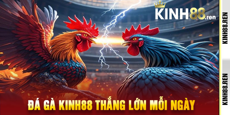 Đá Gà Kinh88