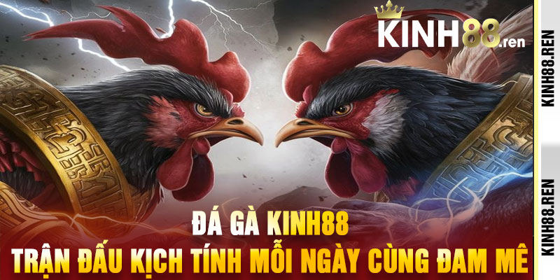 Đá Gà Kinh88