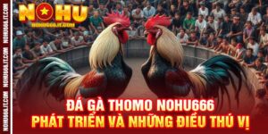 Đá Gà Thomo